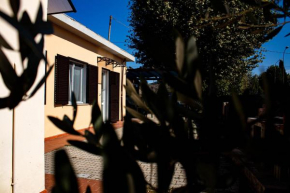 Corte dell'Ulivo San Giuliano Terme